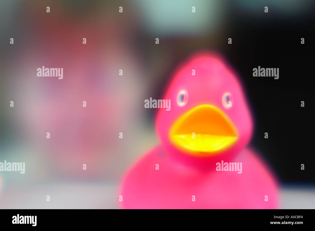 Voleur de jouet rose ducky duck sur un ordinateur de bureau Banque D'Images