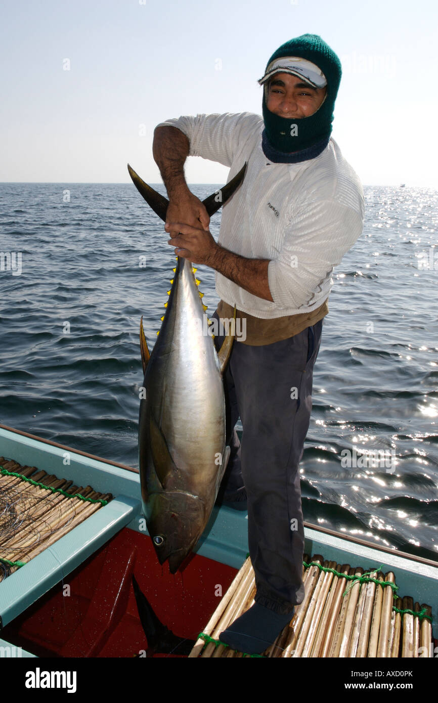 Un pêcheur d'afficher ses prises de thon à nageoires jaunes sur son bateau dans le golfe d'Oman au large de Mascate en Oman. Banque D'Images