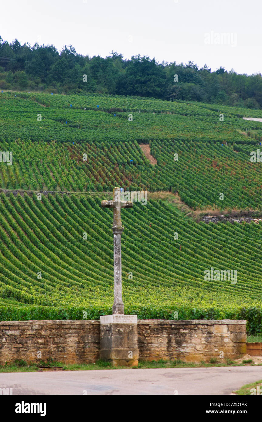 Vignoble. La Romanée Conti Grand Cru avec croix en pierre. Vosne Romanée, Cote de Nuits, d'Or, Bourgogne, France Banque D'Images