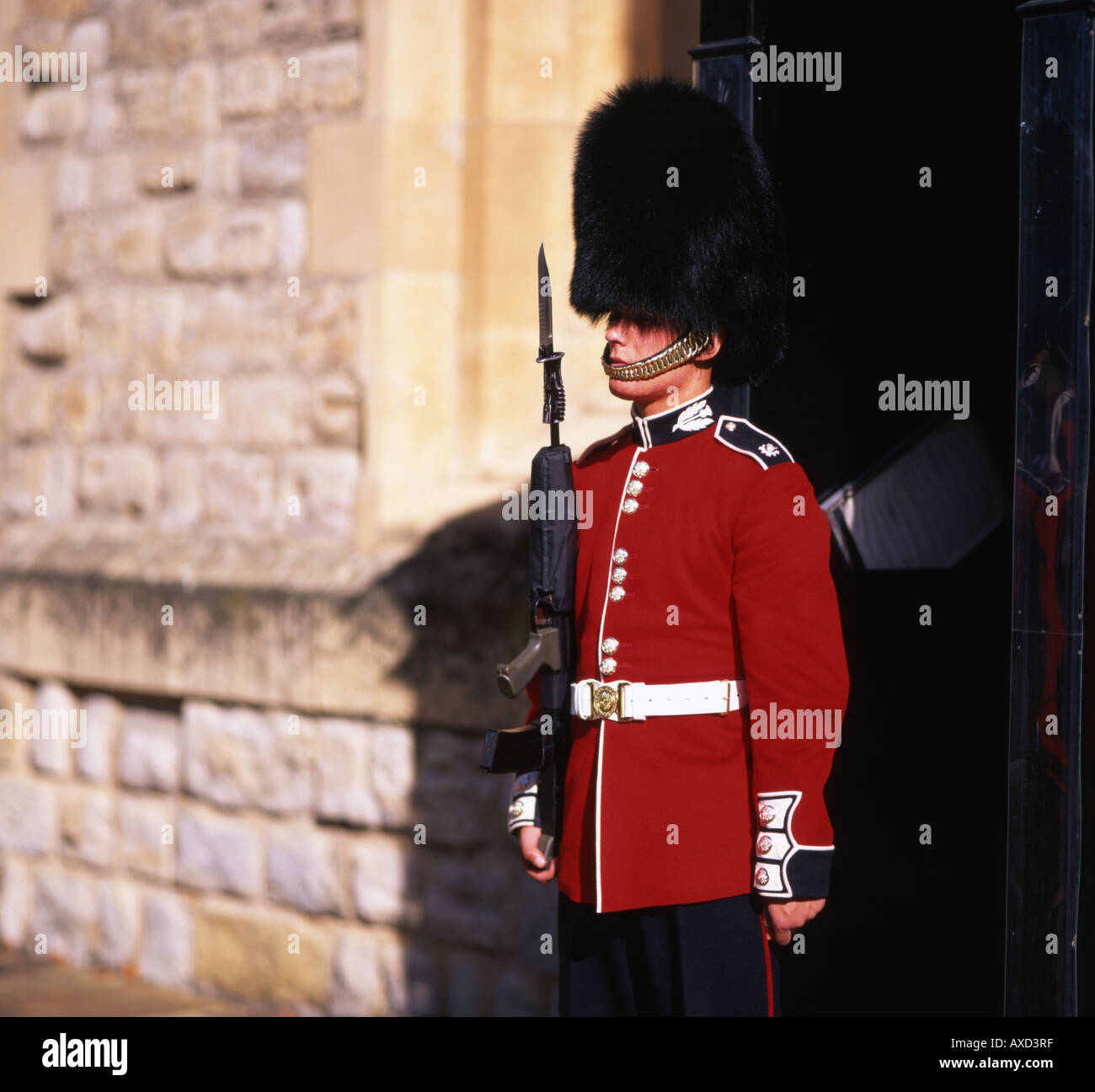 Imprimeur de la Garde côtière sur sentry à la Tour de Londres, de protéger les joyaux de la Couronne et la résidence royale Banque D'Images