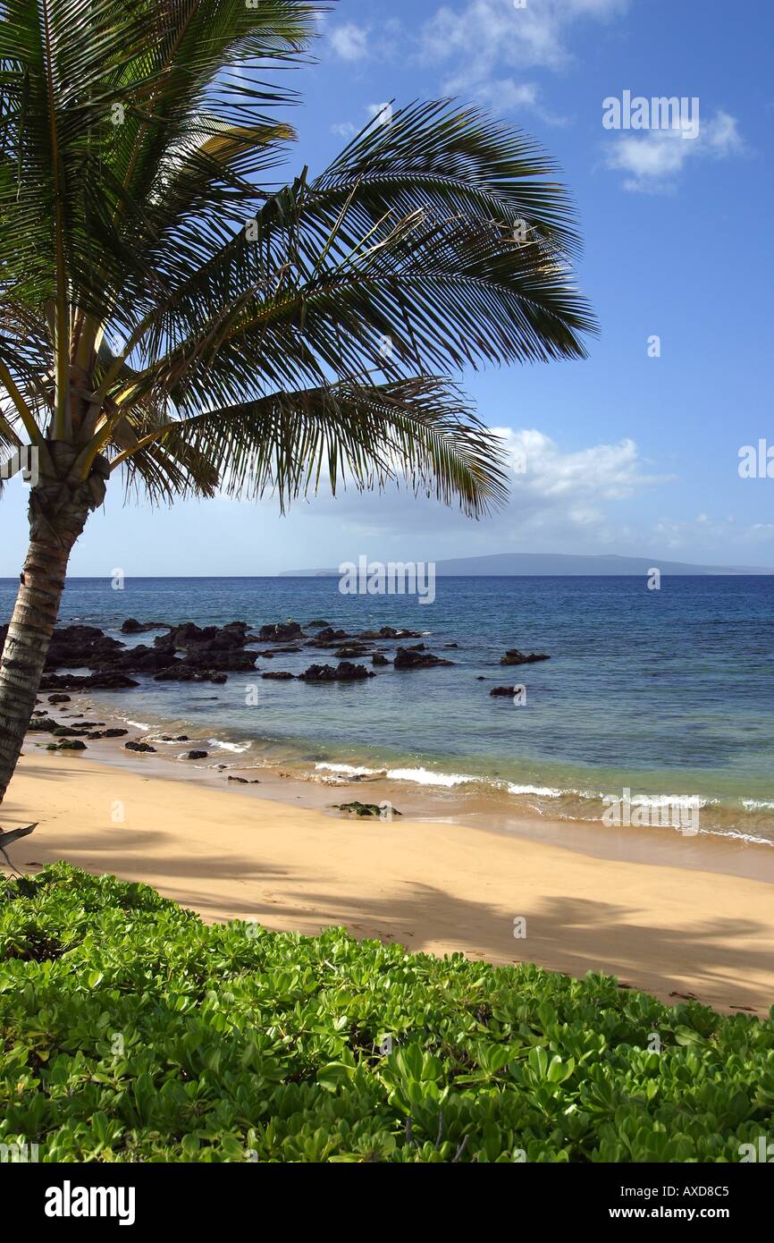 Les îles de Molokini et Kaho olawe sont l'arrière-plan de cette île tropicale de Maui Hawaii Kihei scène Banque D'Images
