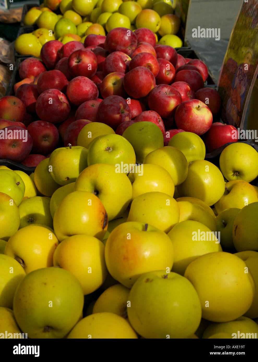 Affichage des pommes biologiques pour la vente au marché fermier de Vancouver. Banque D'Images