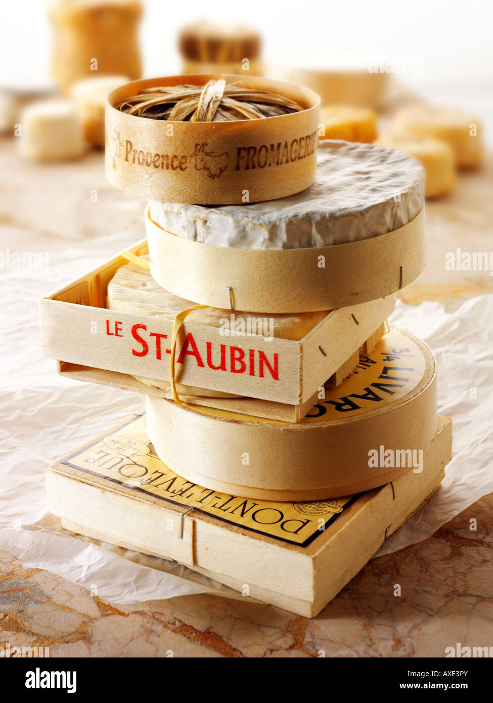Les traditionnels fromages français - St Aubin, Camembert, Bannon, Pont L'eveque et Liverac Banque D'Images