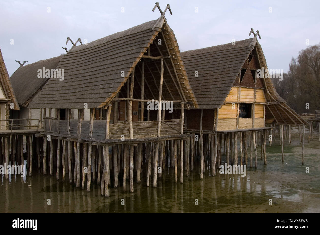 Logement Lac de la préhistoire-museum à Unteruhldingen, Lac de Constance, Baden Württemberg, Allemagne Banque D'Images