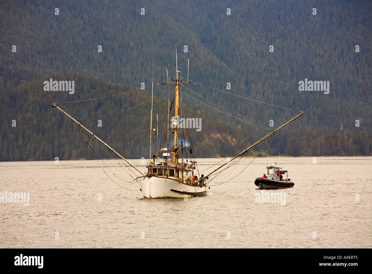 Seine bateaux de pêche dans le détroit de Johnstone, près de la réserve écologique de Robson Bight, Île de Vancouver, Canada Banque D'Images