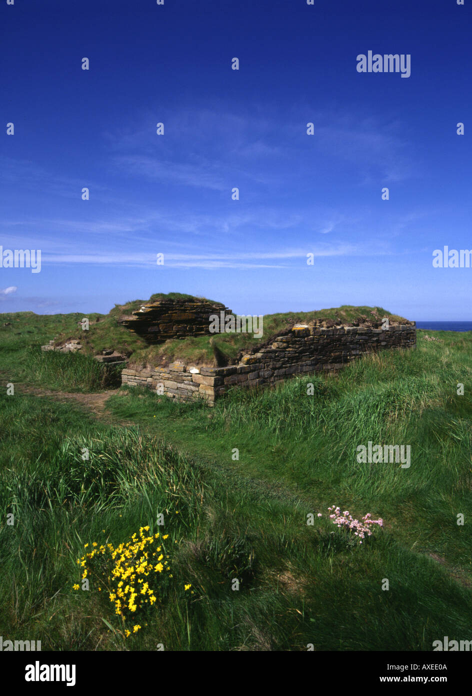Dh Brough de Deerness DEERNESS chapelle ruinée Orkney en haut de falaises Banque D'Images