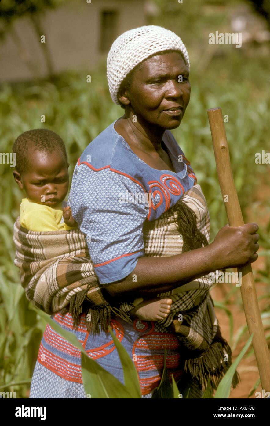 Afrique Afrique Du Sud Femme Porte Bebe Sur Le Dos Tout En Travaillant Dans Les Champs Photo Stock Alamy Afrique Afrique Du Sud Femme Porte Bebe Sur Le Dos Tout En Travaillant Dans Les Champs Photo Stock Alamy