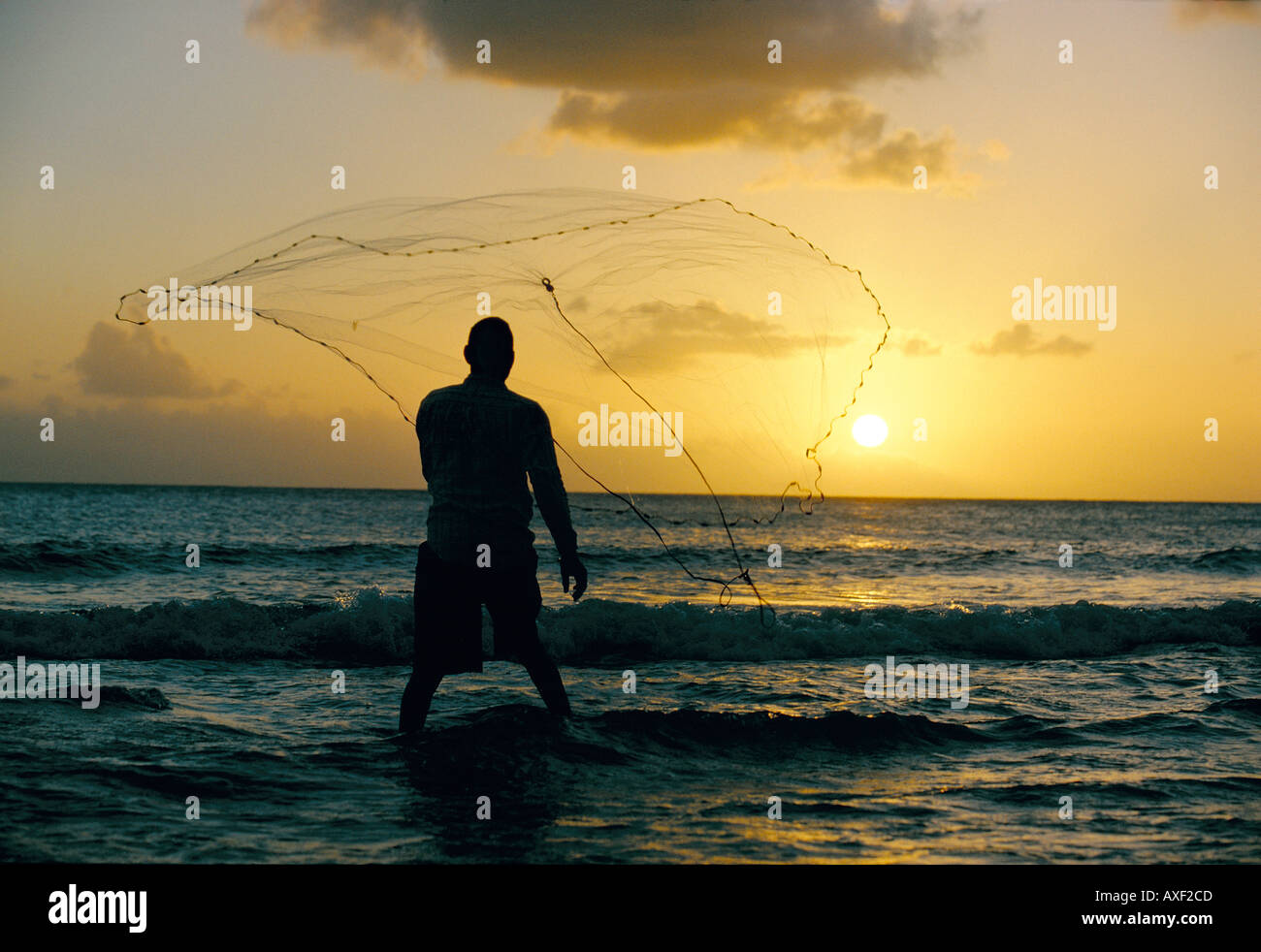 Fisherman Casting Net en mer Prospect Bay West Coast Barbados Banque D'Images