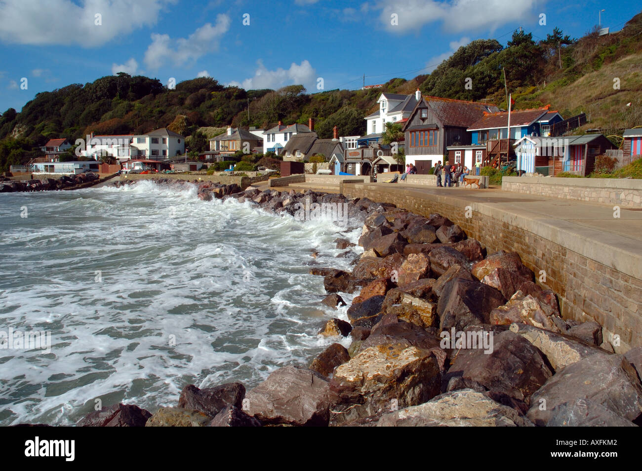 Bord de mer, baie de Steephill, Ventnor, île de Wight, Angleterre, Royaume-Uni, GB. Banque D'Images