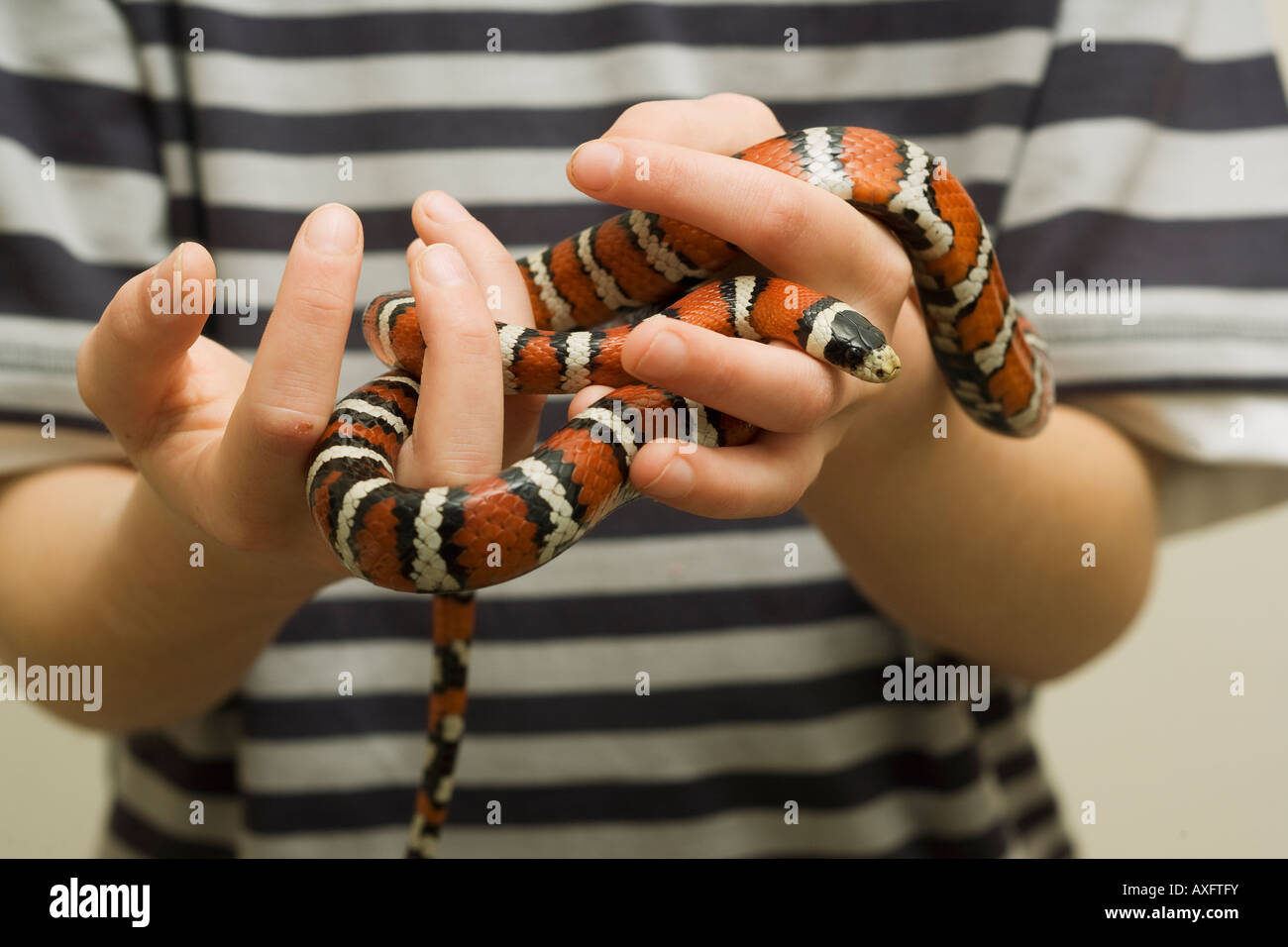 Boy holding pet snake Banque D'Images