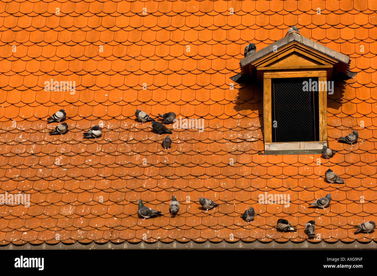 Red Roof de Prague Banque D'Images