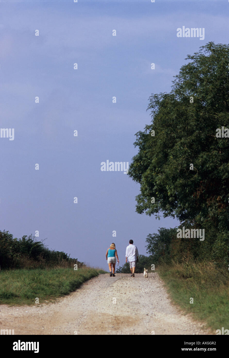 La promenade du chien, Yorkshire Wolds, Royaume-Uni. Banque D'Images