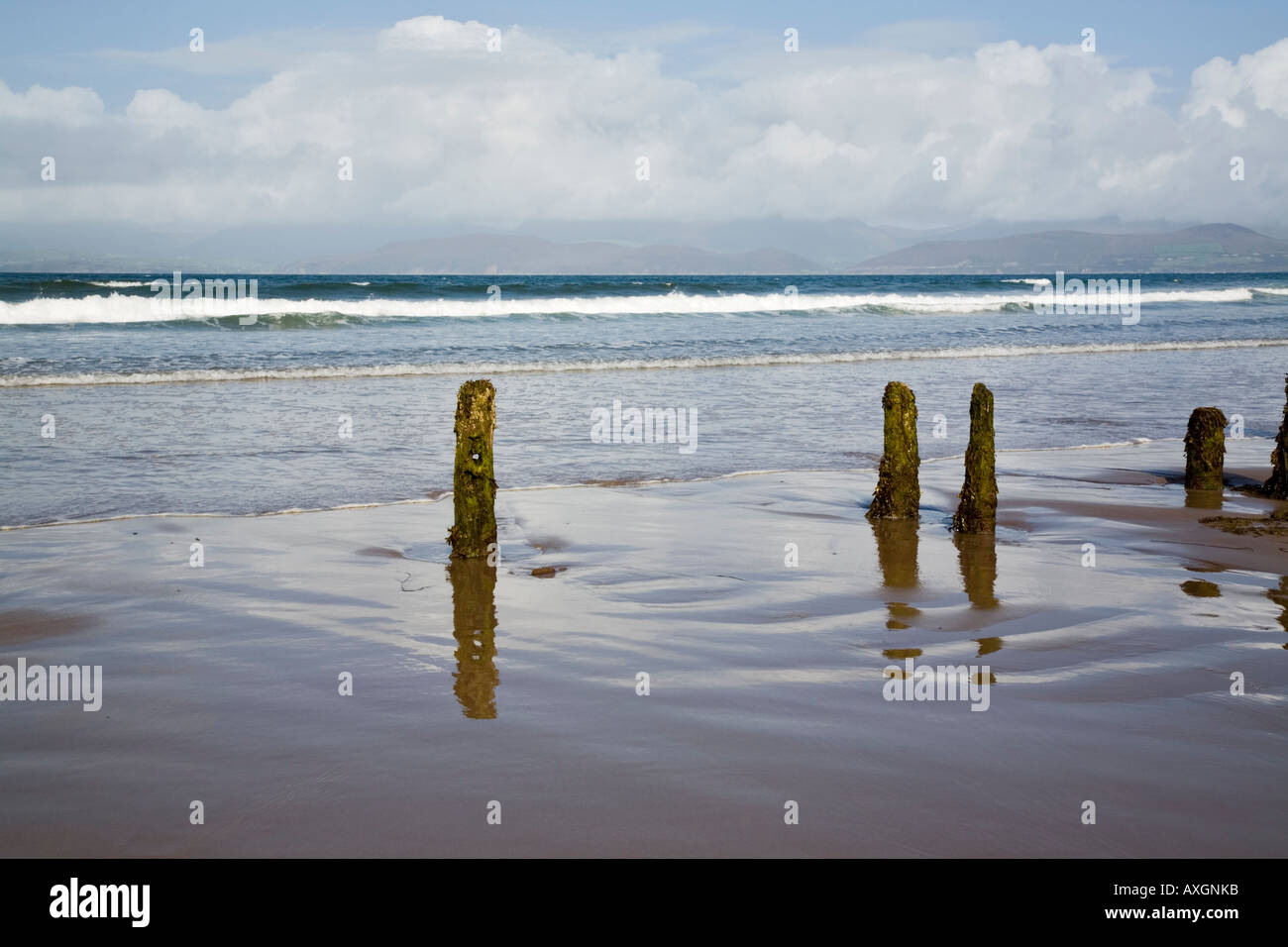 Poteaux de bois sur le sable humide sur la plage vide Eire Europe Banque D'Images