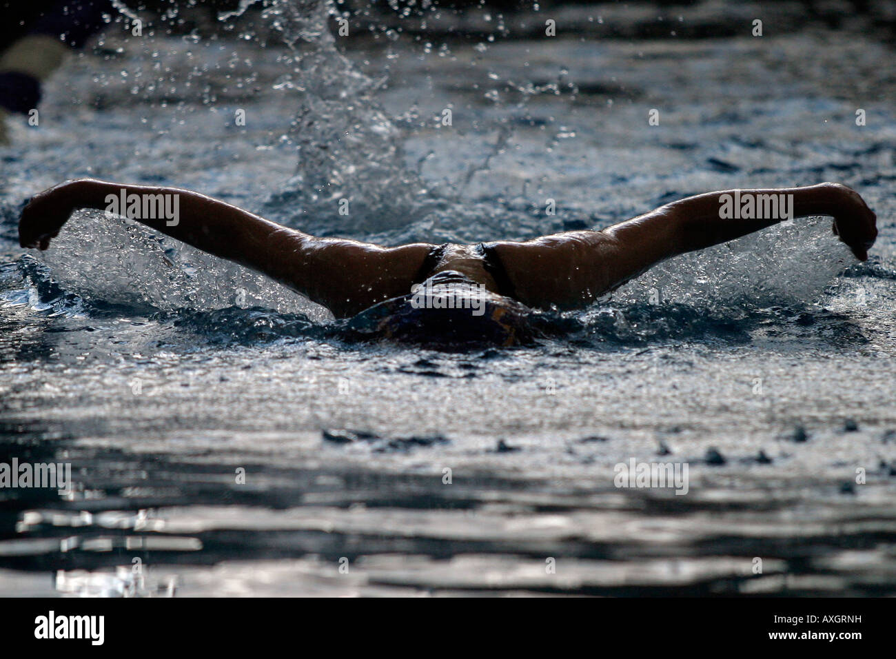 Un nageur de compétition masculine rivalise pendant une chaleur de papillon dans une rencontre de natation. Banque D'Images