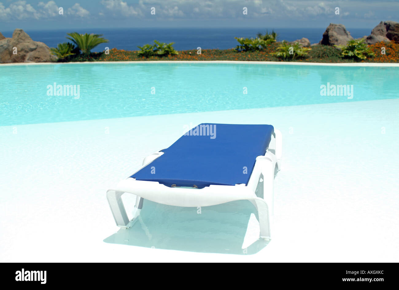 Awimming chaise toile piscine piscine palmiers Liegestuhl Palmen Banque D'Images