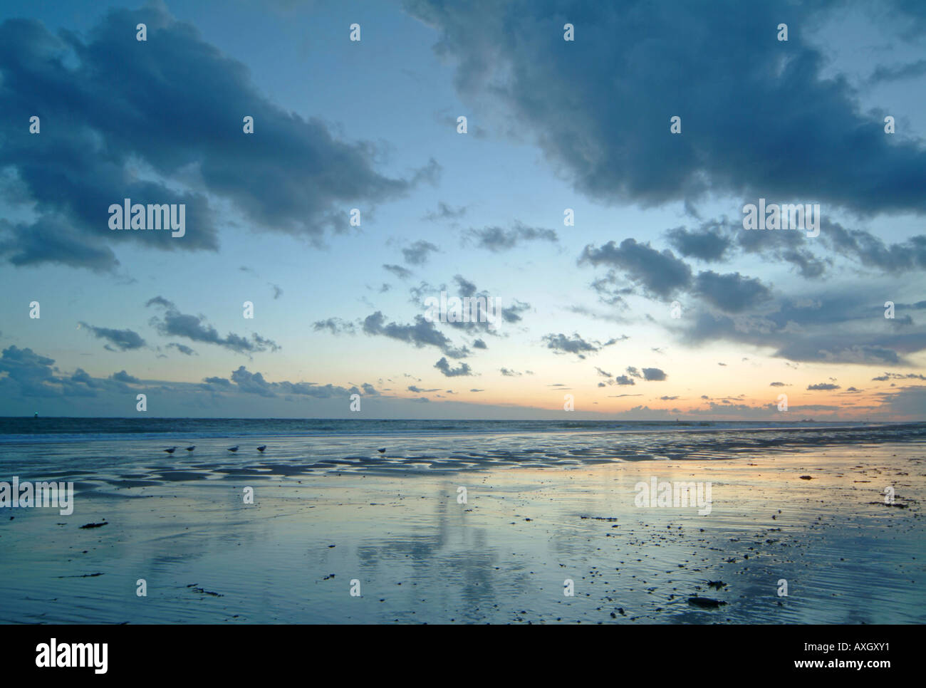 Côte néerlandaise dans la nuit près de Vlissingen Pays-Bas Nordseeküste bei nacht in der Nähe von Vlissingen Hollande Banque D'Images