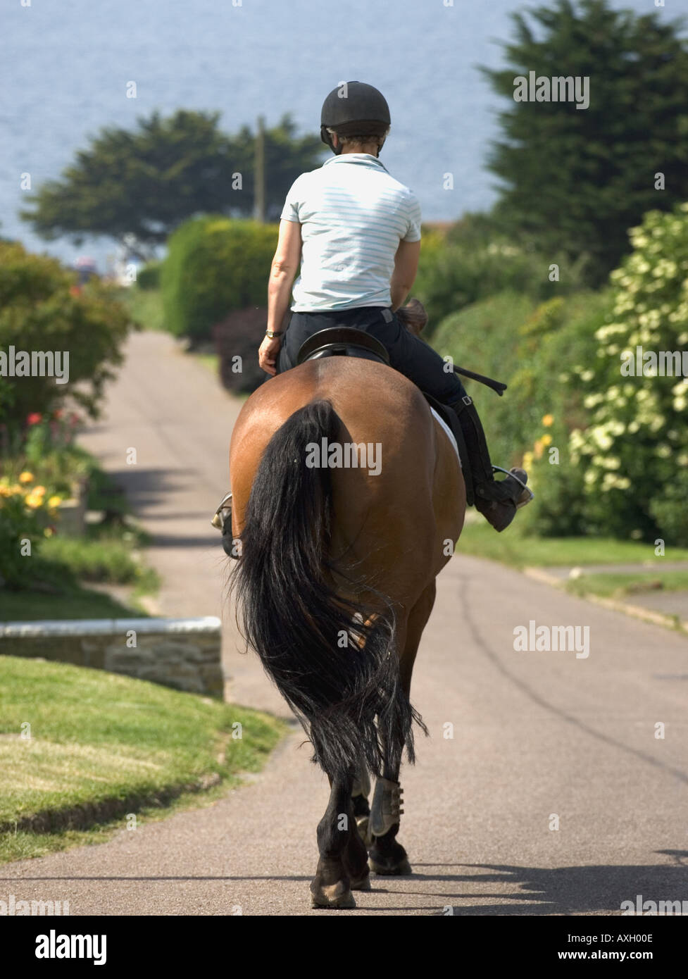 Horse Rider sur la route côtière, Dorset, Angleterre. Banque D'Images