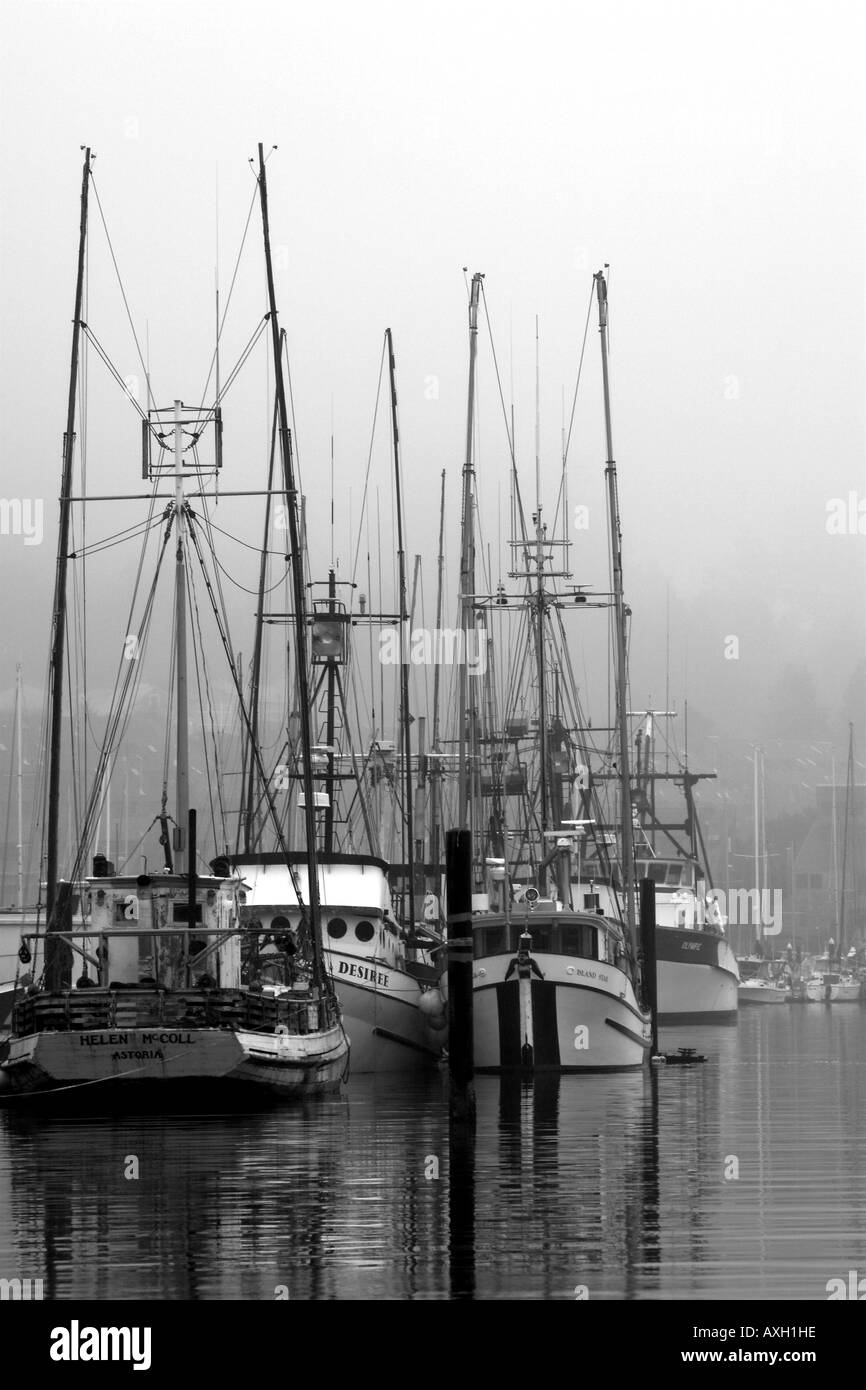 Bateaux de pêche commerciale au quai Newport Oregon jour brumeux brouillard Banque D'Images