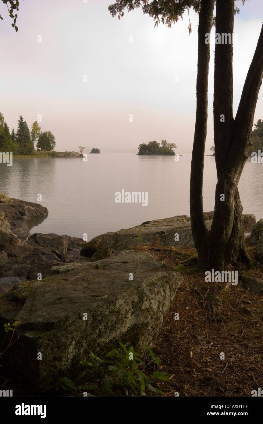 Matin BROUILLARD SE LÈVERA SUR LES ÎLES SUR LE LAC NORD DU MINNESOTA Banque D'Images
