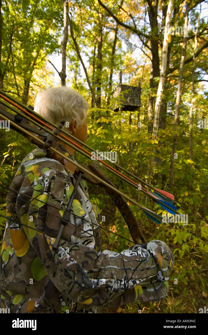 Chasse À L'arc Dans Un Peuplement D'arbres De Style Échelle Banque D'Images  et Photos Libres De Droits. Image 27733728