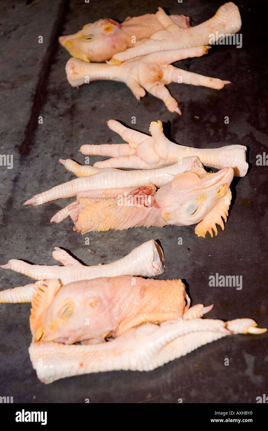 Photographie de têtes et les pieds de poulet pour la vente au marché de Hsipaw au Myanmar 2006 Banque D'Images