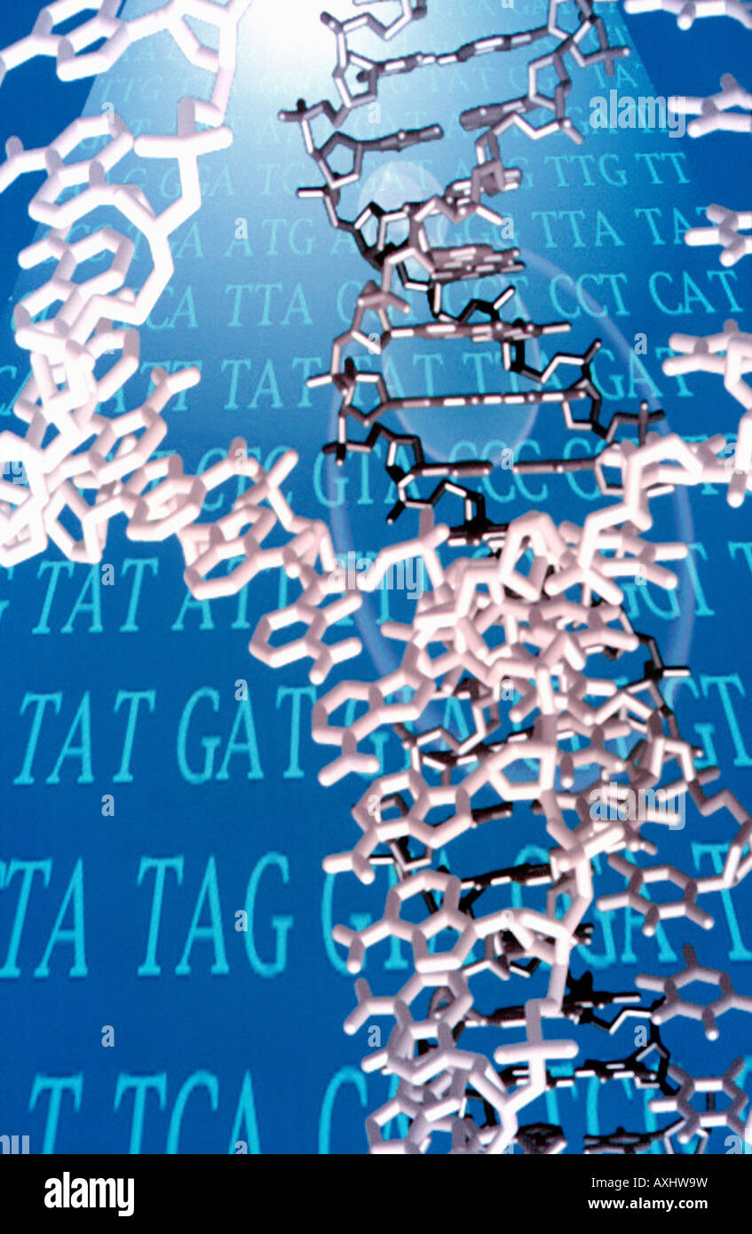 Doublestranded l'ADN l'ADN et l'helix code gentic Banque D'Images