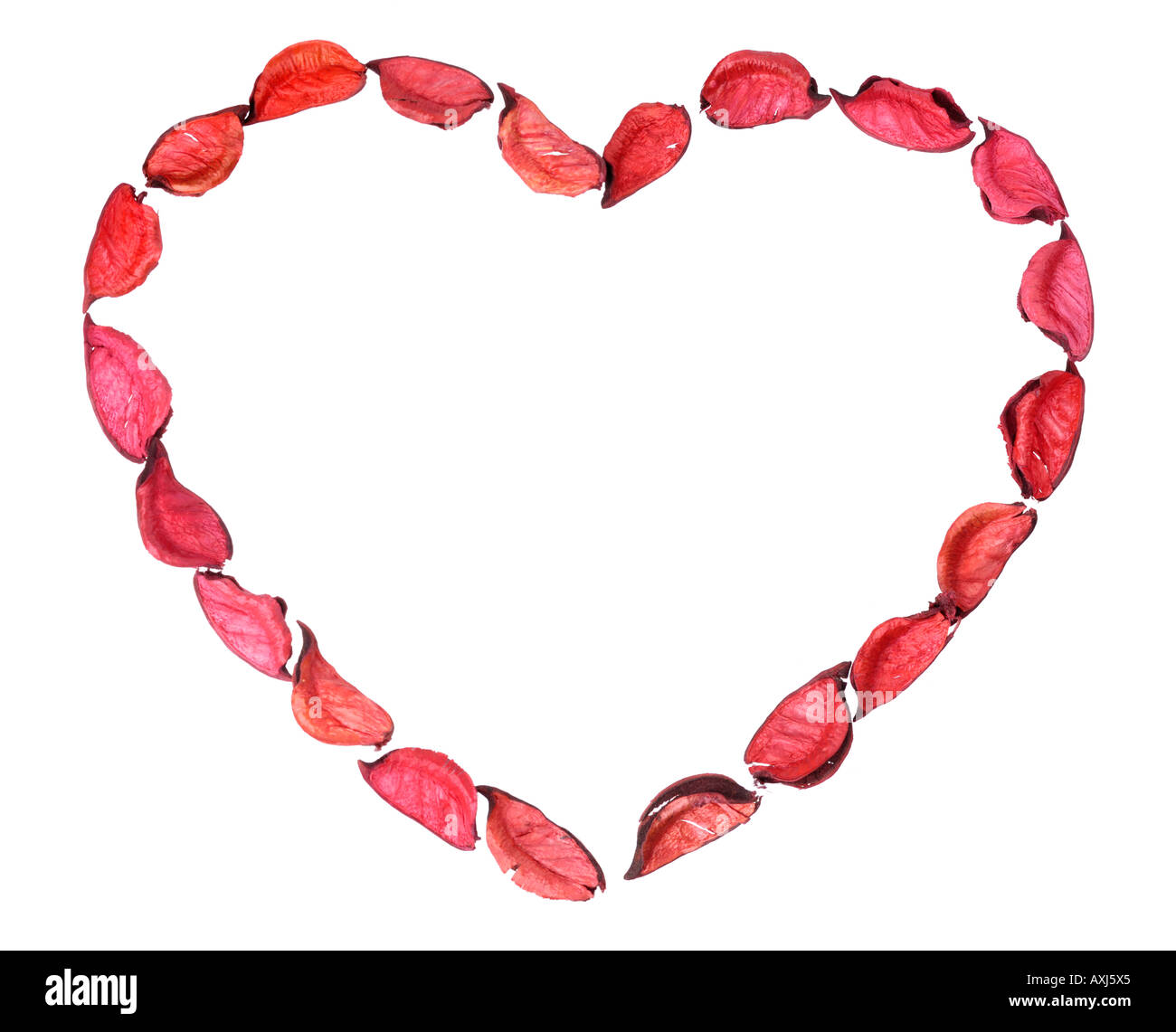 Coeur faits de pétales de rose Banque D'Images