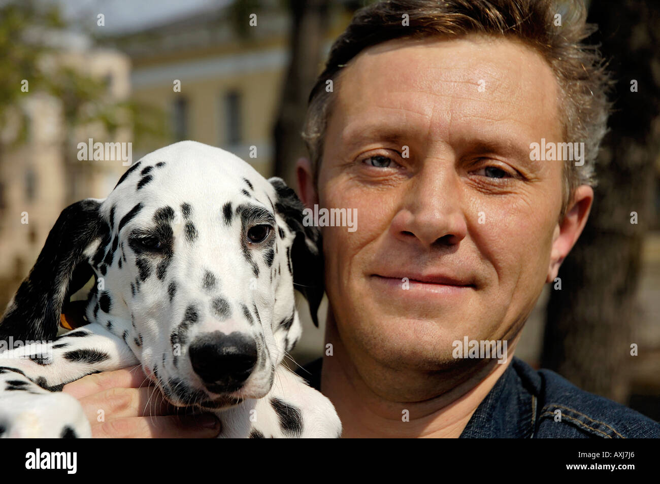 L'homme et un jeune chien Dalmatien Banque D'Images