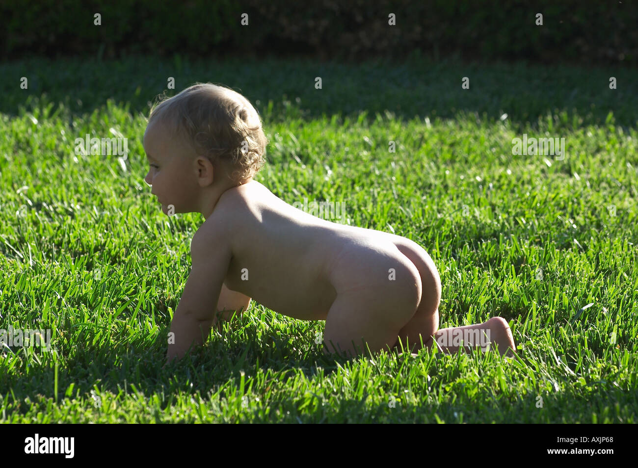 Bebe Nu Dans L Herbe Photo Stock Alamy