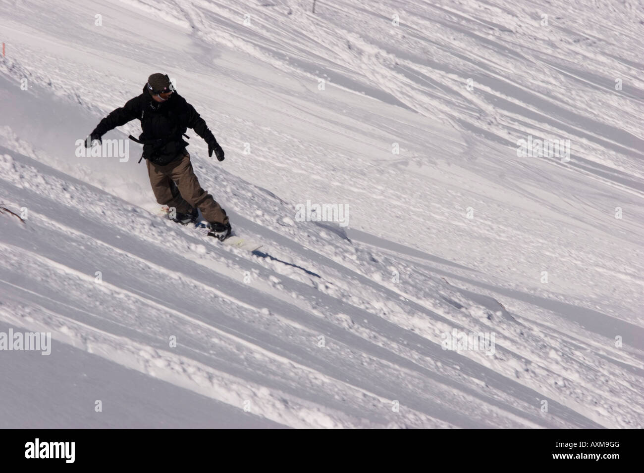 Un surfeur expérimenté est d'explorer les pistes de ski Niseko, Hokkaido, Japon. Banque D'Images