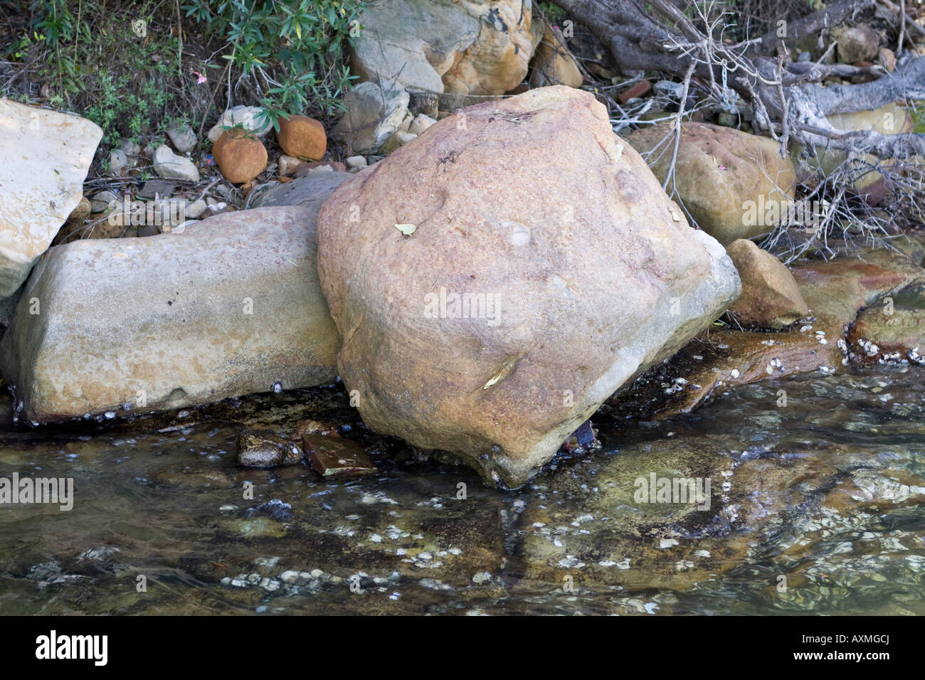 Rochers de grès à marée basse dans la baie de Berrys, NSW, Australie Banque D'Images