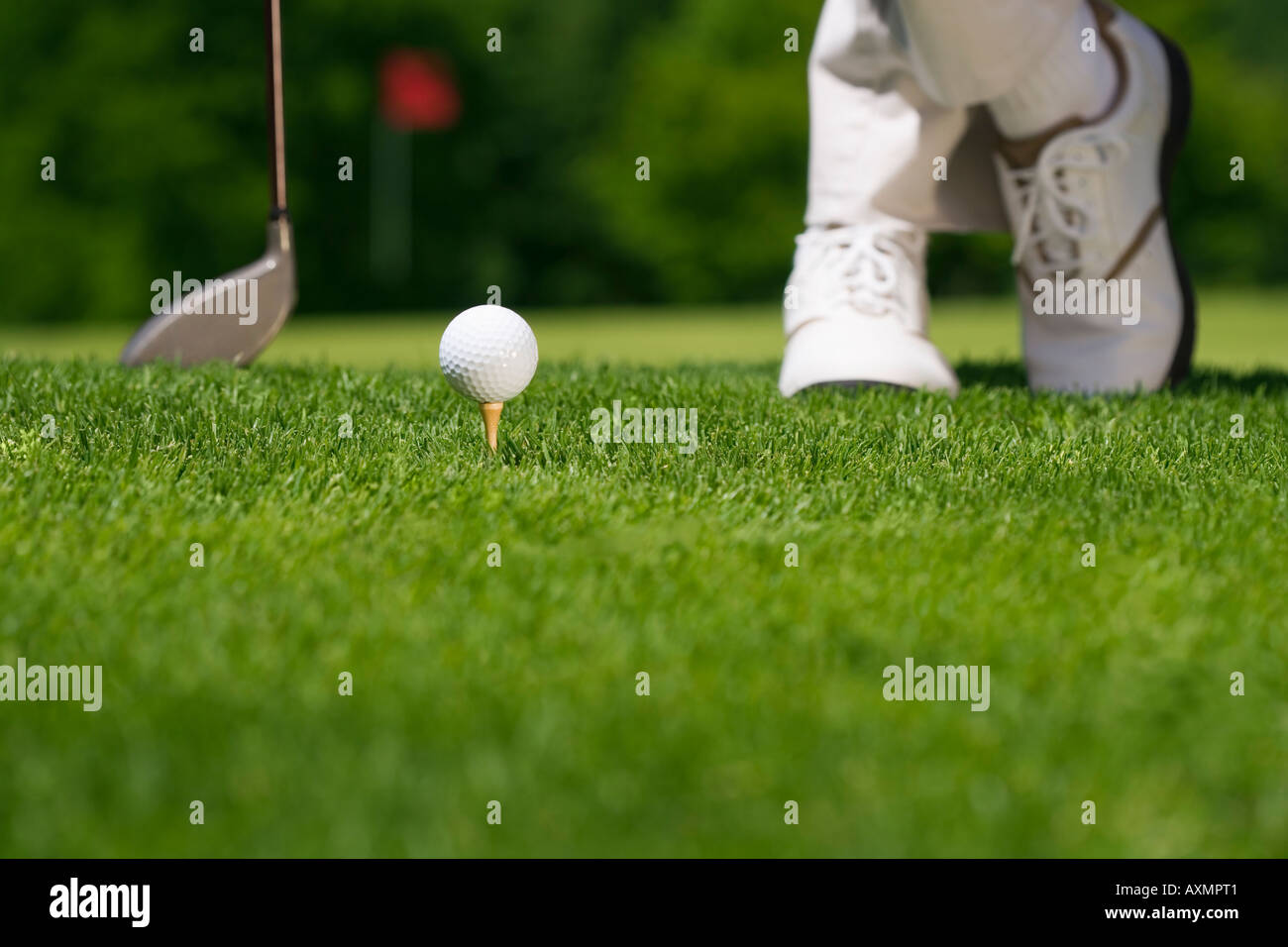 Golfeur prépare à tee off Banque D'Images