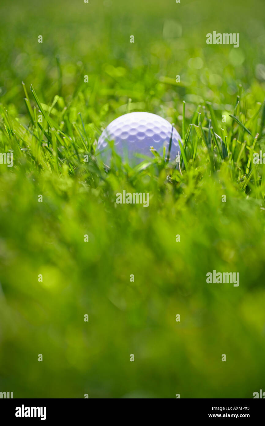 Balle de golf dans l'herbe verte longue à l'extérieur Banque D'Images