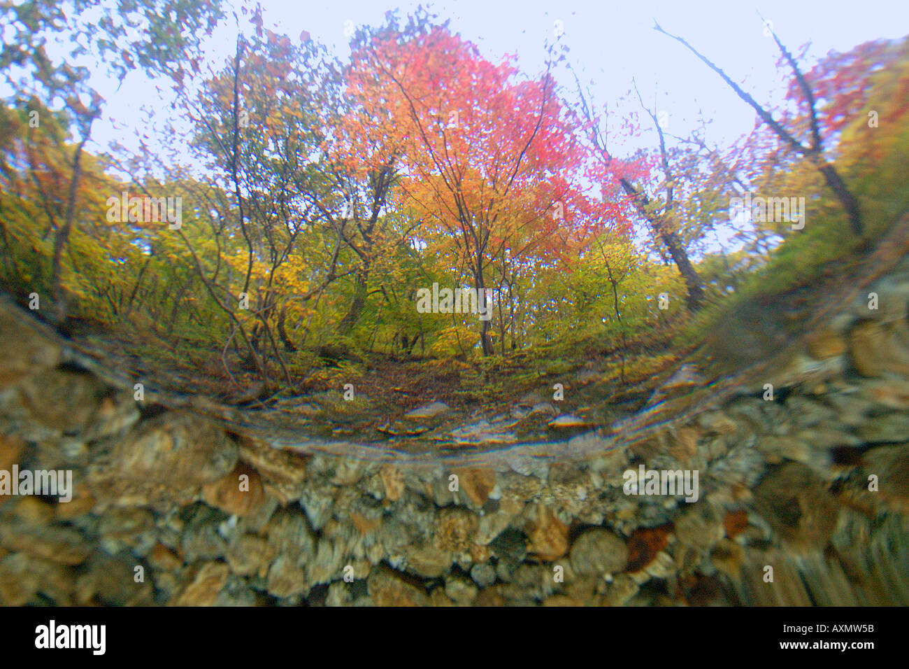Image fractionnée d'eau douce naturel le printemps et l'automne feuillage Seoraksan Parc national de la province de Gangwon en Corée du Sud Banque D'Images