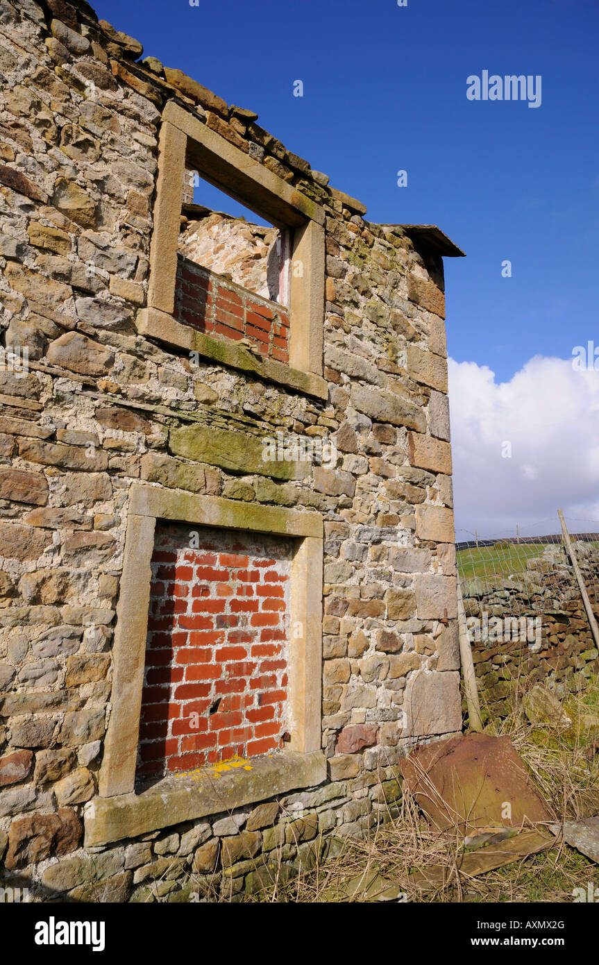 Une ancienne ferme dans le Yorkshire Dales National Park Banque D'Images