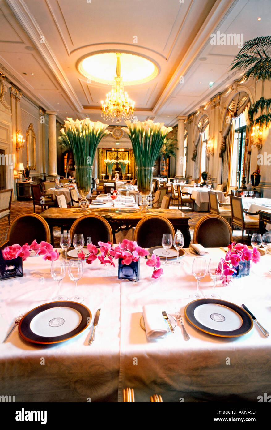 France Paris, Restaurant français « le V » « le cinq » haute cuisine Hôtel « four Seasons George V » tables à manger, intérieur européen, restaurant chic Banque D'Images