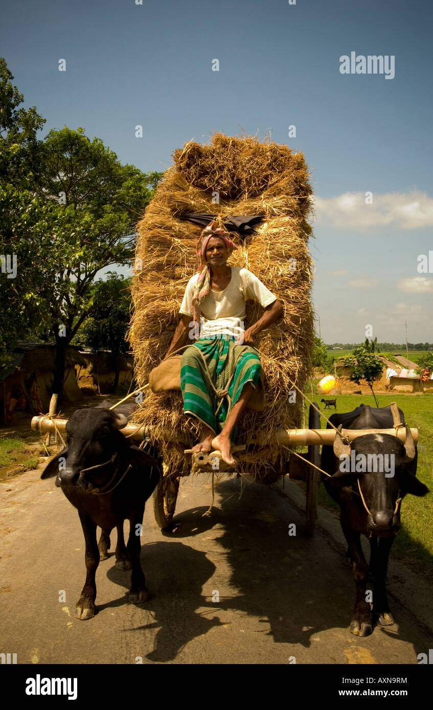 Agriculteurs du Bangladesh Banque D'Images