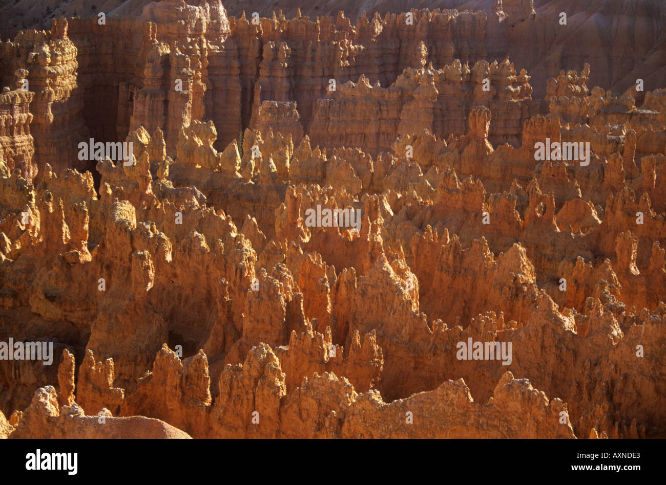 Les cheminées à Bryce Canyon Utah United States of America Banque D'Images