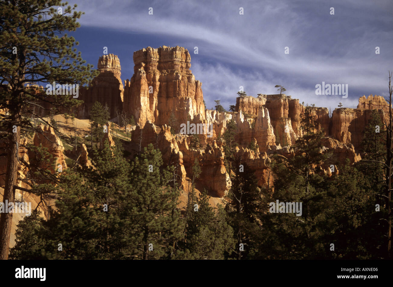 Les cheminées à Bryce Canyon Utah United States of America Banque D'Images