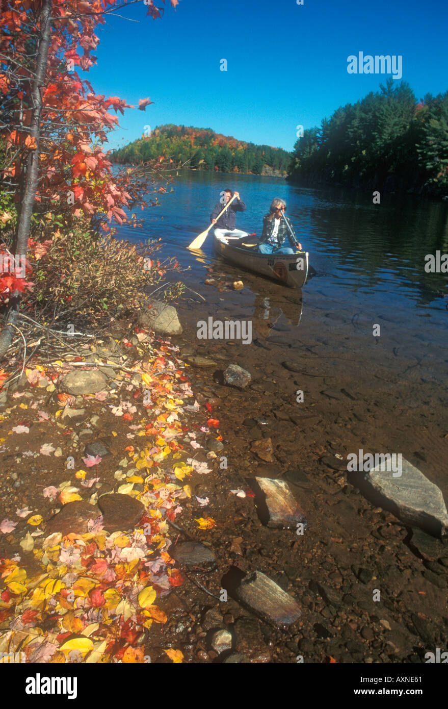 Les femmes pagayer canoë dans le Parc Provincial Algonquin au Canada Banque D'Images