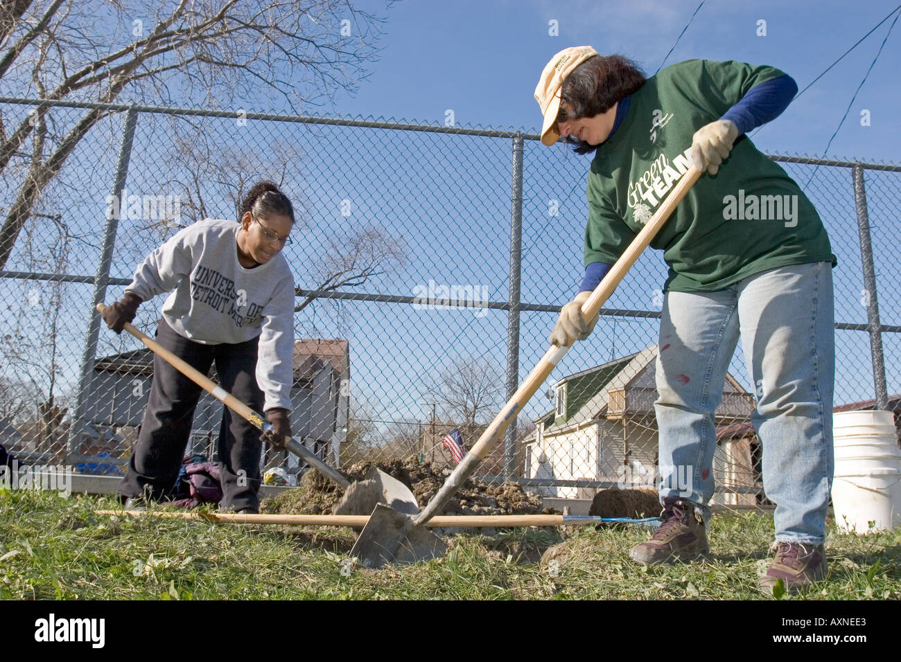 Les bénévoles plantent des arbres le long de la rue de Detroit Banque D'Images