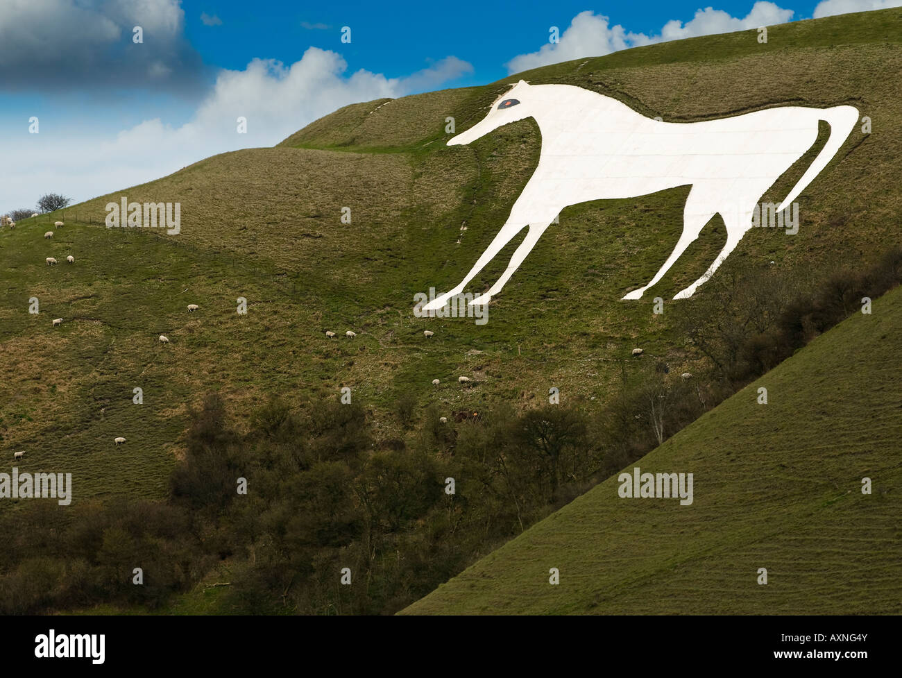 Westbury White Horse Banque D'Images