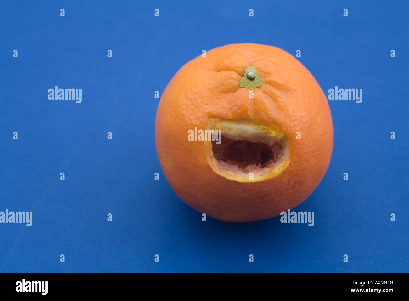Still Life Close up studio concept de crier à l'aide de une orange Banque D'Images