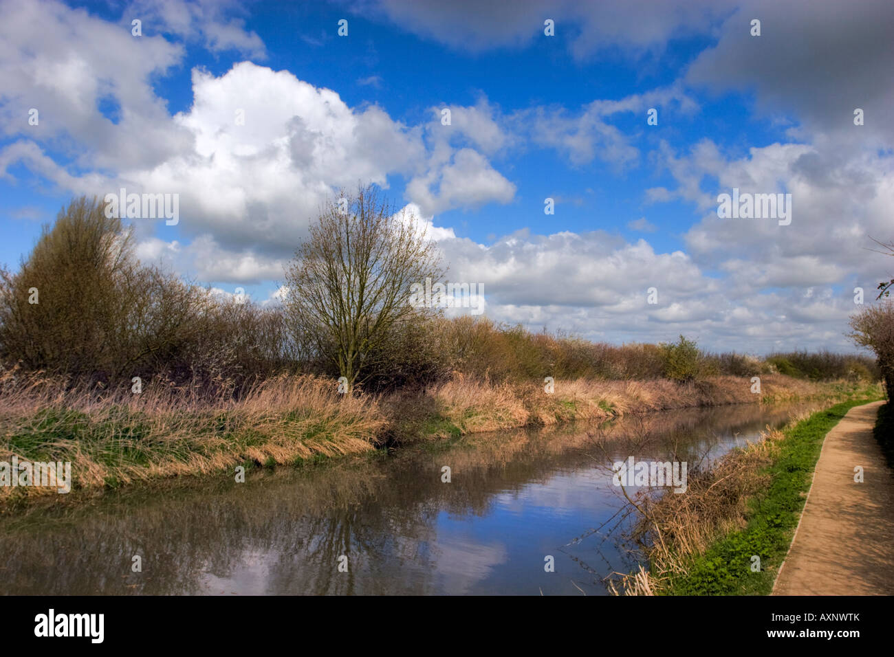 Le Grand Union canal, wendover lien sur un jour étés ce tronçon est en cours de restauration afin de le rendre à nouveau navigable Banque D'Images