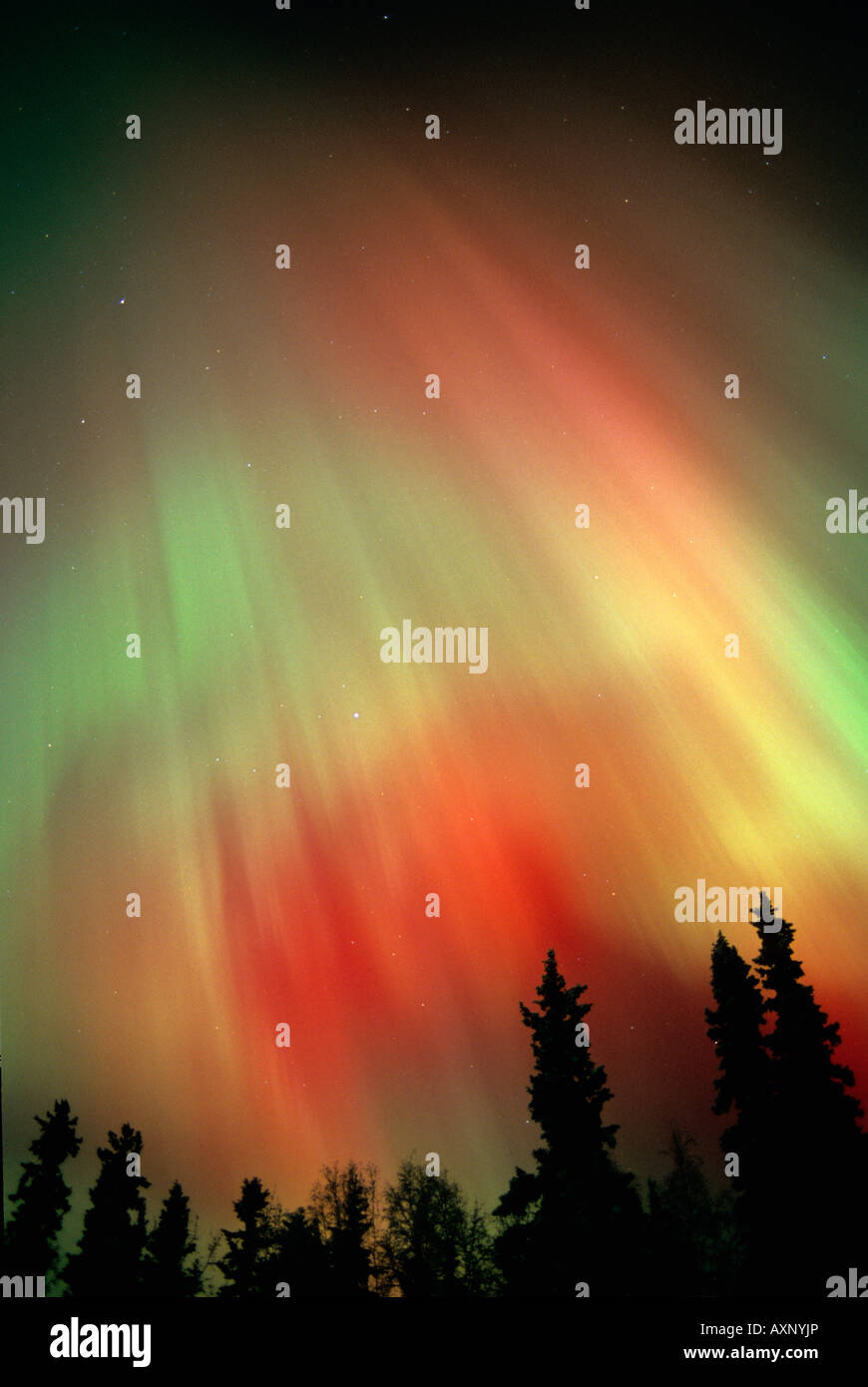 Aurora Borealis ou Northern Lights, tempête solaire majeure, les 28 et 29 octobre 2003, l'Alaska Alaska Banque D'Images