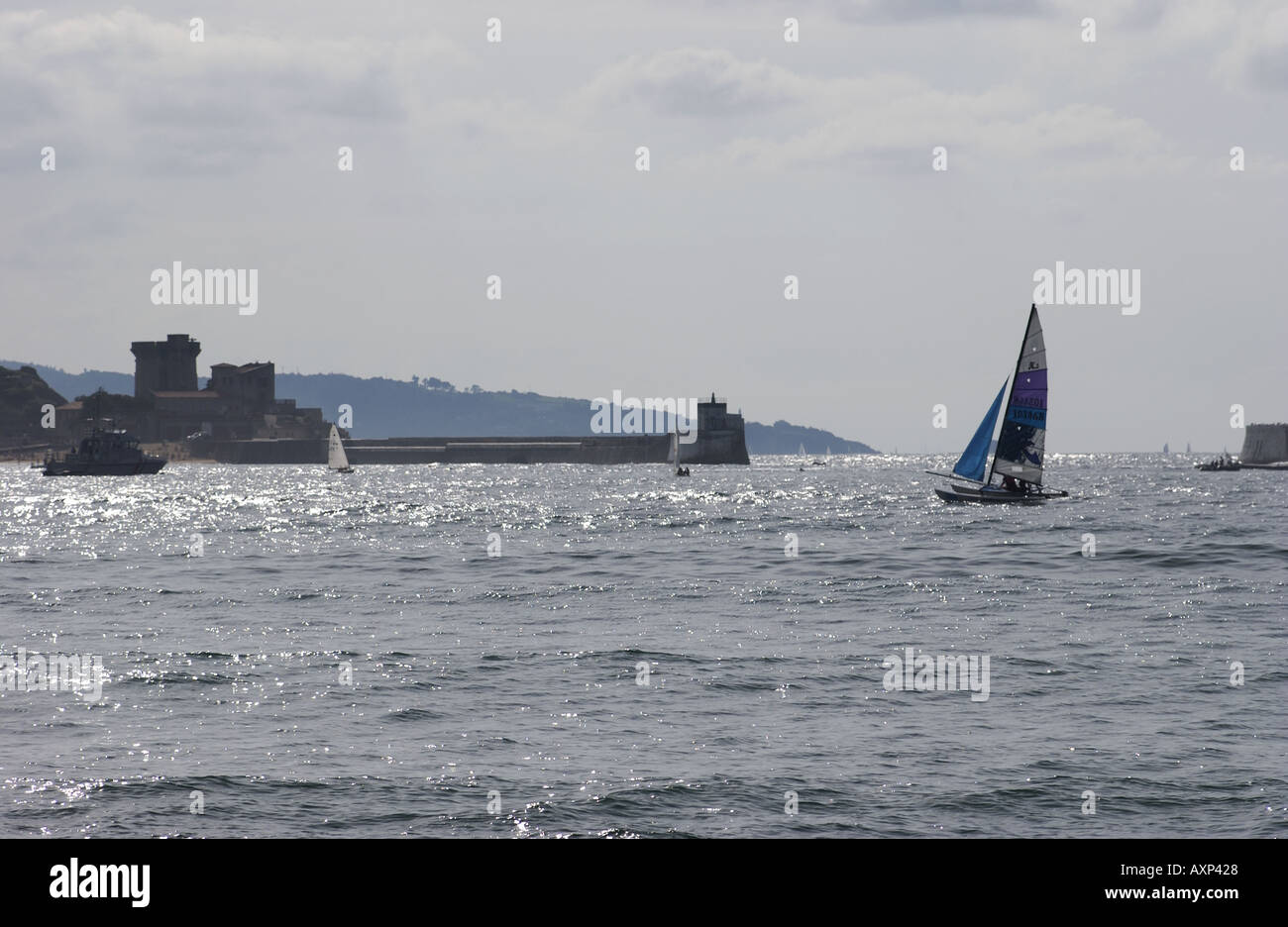 Voile terne, dans le port de St Jean de Luz sud de la France Banque D'Images