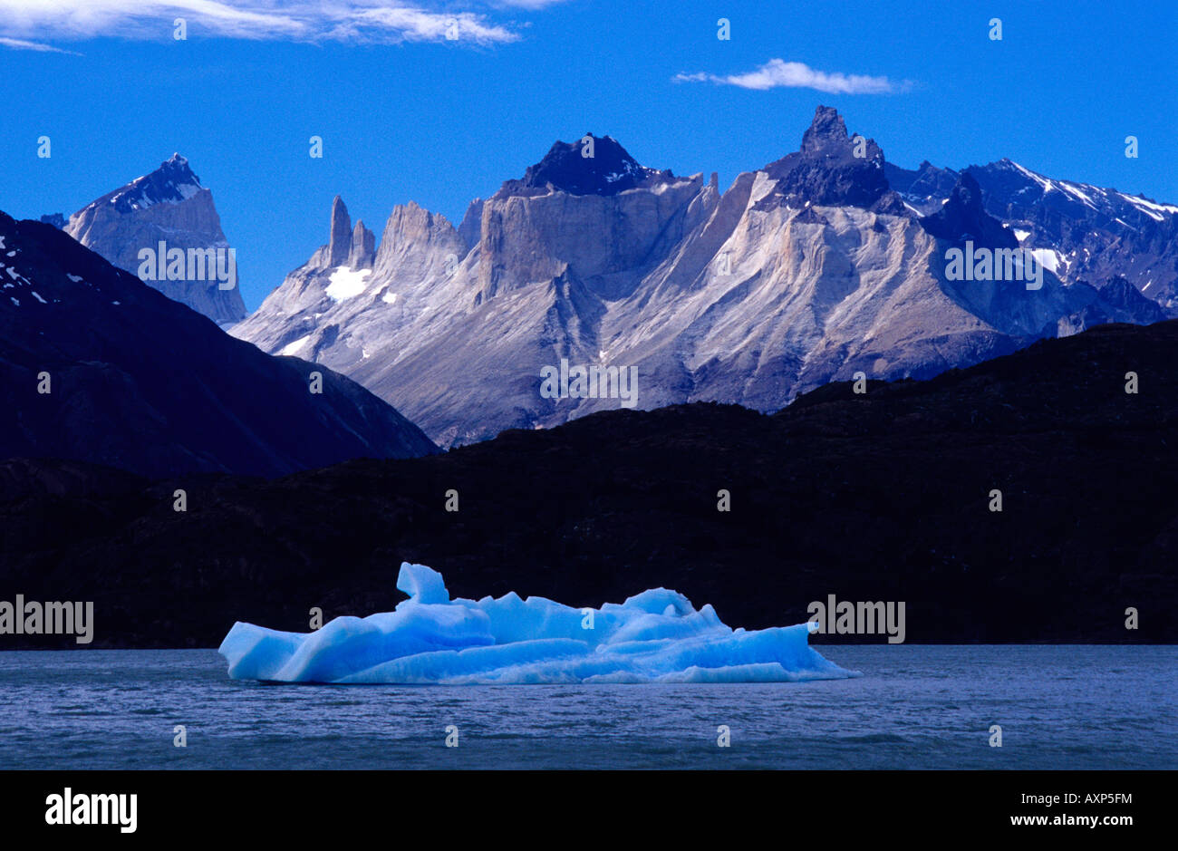 Iceberg sur le lac Grey Parc National Torres del Paine XII de la région Amérique du Sud Chili Magallanes Banque D'Images
