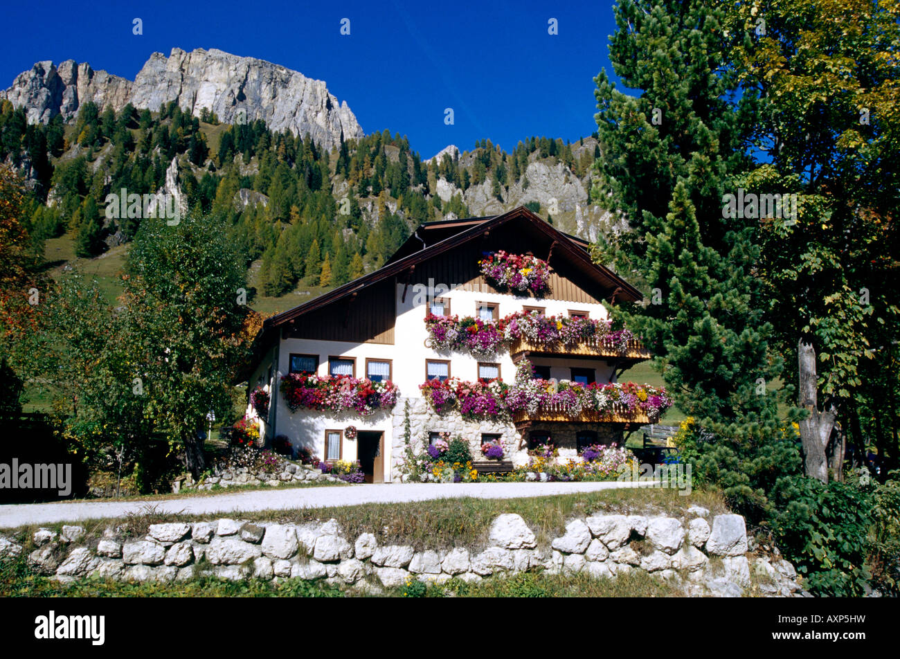 Bauernhof Kollfuschg Dolomiten Südtirol Italien Banque D'Images
