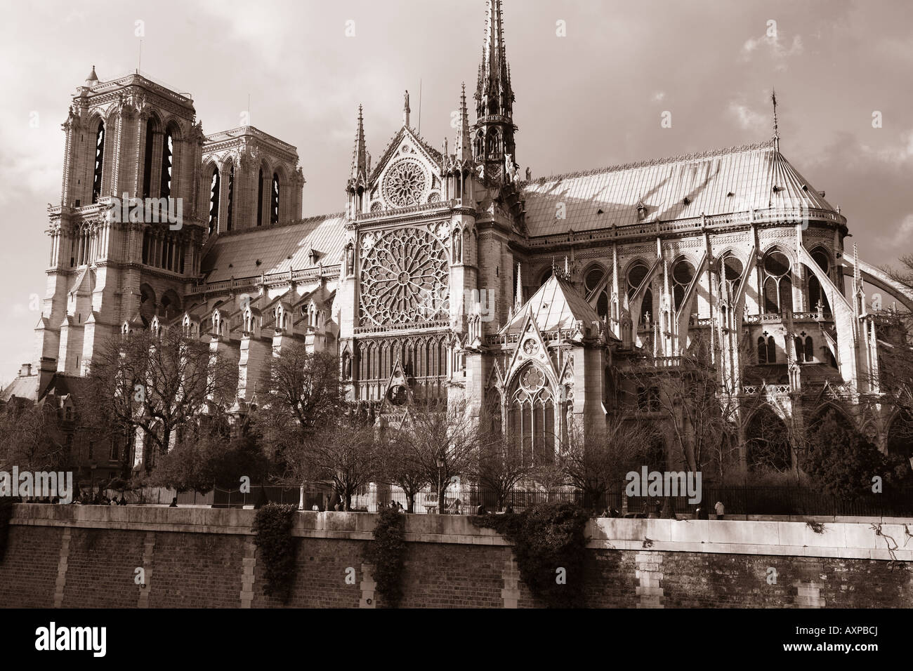 La Cathédrale Notre Dame, l'Ile de la Cité, Paris, France Banque D'Images