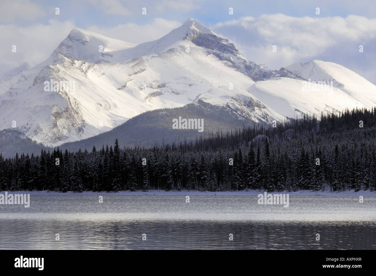 Lac Maligne - Jasper National Park Banque D'Images